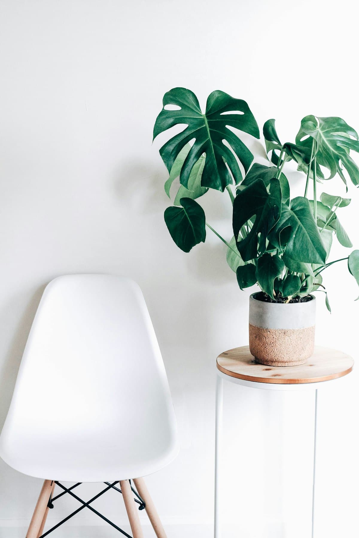 Biophilic Design: Bringing Nature Indoors